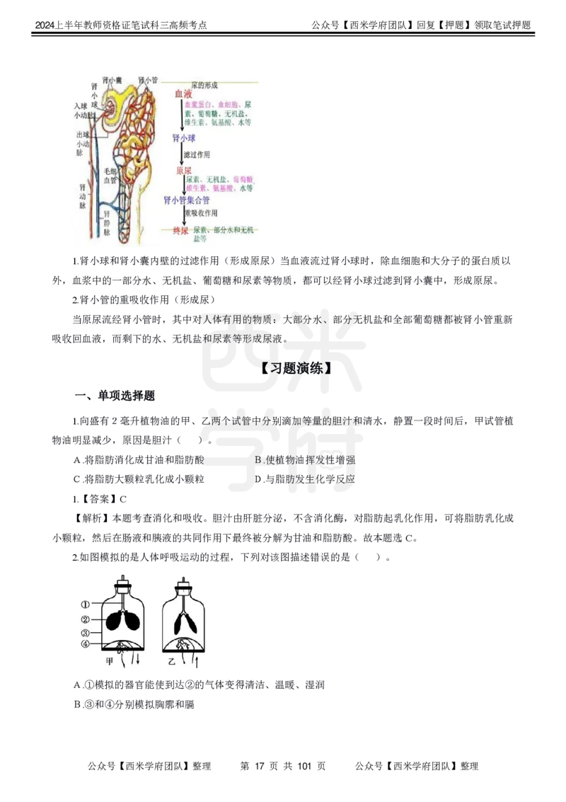 中学生物-高频考点_4-教培资料-26年最新资料-同步更新_初中高中教资_03科三专项（进去保存报考的学科即可）_01科目三FB网课、三色速记手册、知识点导图等推荐_初中