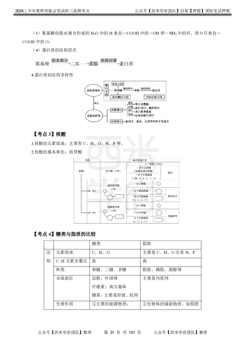 中学生物-高频考点_4-教培资料-26年最新资料-同步更新_初中高中教资_03科三专项（进去保存报考的学科即可）_01科目三FB网课、三色速记手册、知识点导图等推荐_初中