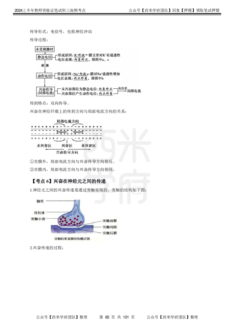 中学生物-高频考点_4-教培资料-26年最新资料-同步更新_初中高中教资_03科三专项（进去保存报考的学科即可）_01科目三FB网课、三色速记手册、知识点导图等推荐_初中