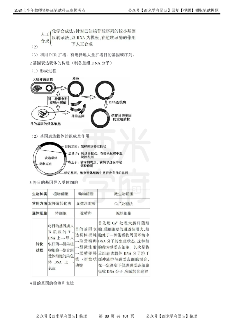 中学生物-高频考点_4-教培资料-26年最新资料-同步更新_初中高中教资_03科三专项（进去保存报考的学科即可）_01科目三FB网课、三色速记手册、知识点导图等推荐_初中