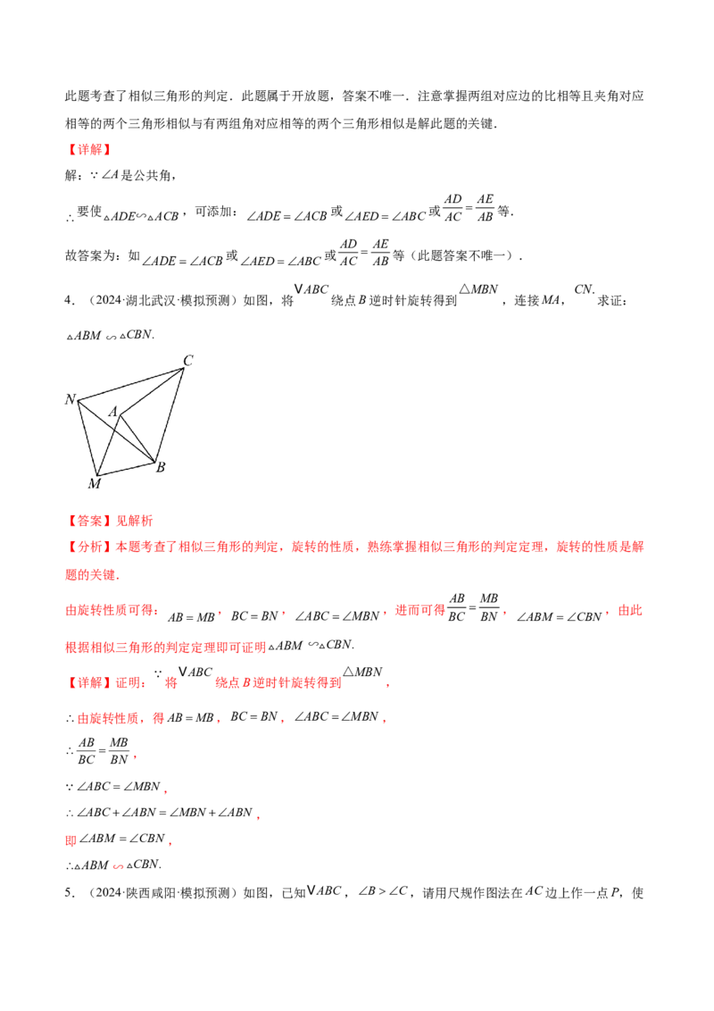 难点10相似三角形的常考题型（9大热考题型）（解析版）_2数学总复习_2025中考复习资料_2025年中考数学一轮知识梳理_难点10+相似三角形的常考题型（9大热考题型）