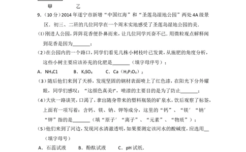 2014年四川省遂宁市中考化学试卷（含解析版）_中考真题_5.化学中考真题2015-2024年_地区卷_四川省_四川遂宁化学12-22