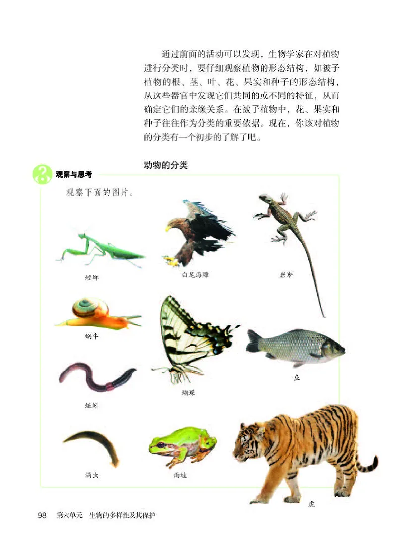 人教版8年级生物上册高清教材_4-教培资料-26年最新资料-同步更新_初中高中教资_03科三专项（进去保存报考的学科即可）_02科三专项（笔记真题思维导图教学设计版本二）