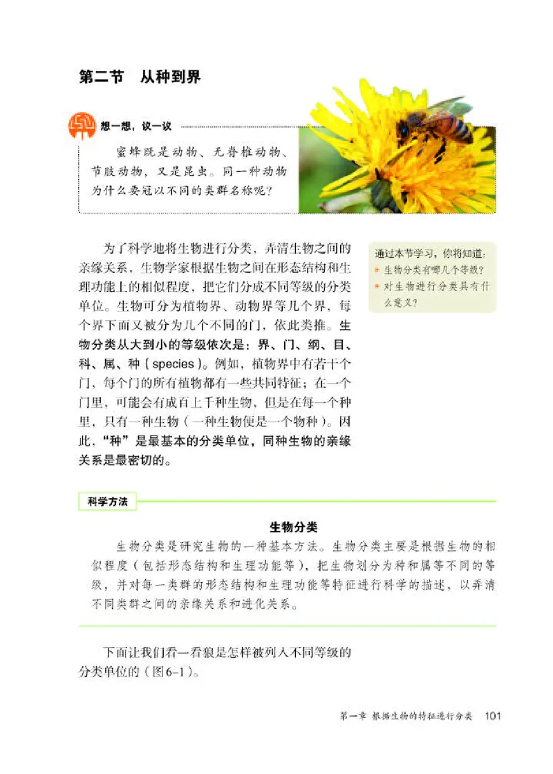 人教版8年级生物上册高清教材_4-教培资料-26年最新资料-同步更新_初中高中教资_03科三专项（进去保存报考的学科即可）_02科三专项（笔记真题思维导图教学设计版本二）