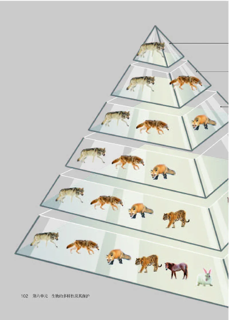 人教版8年级生物上册高清教材_4-教培资料-26年最新资料-同步更新_初中高中教资_03科三专项（进去保存报考的学科即可）_02科三专项（笔记真题思维导图教学设计版本二）