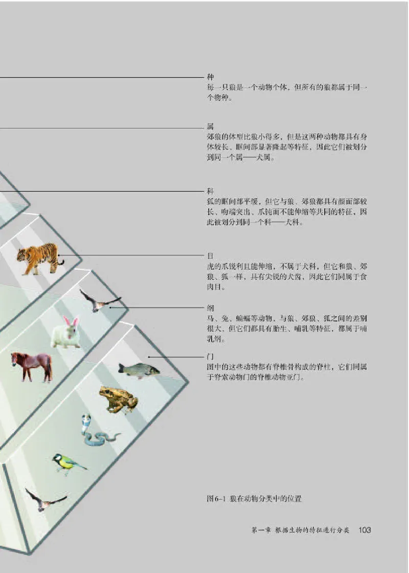 人教版8年级生物上册高清教材_4-教培资料-26年最新资料-同步更新_初中高中教资_03科三专项（进去保存报考的学科即可）_02科三专项（笔记真题思维导图教学设计版本二）