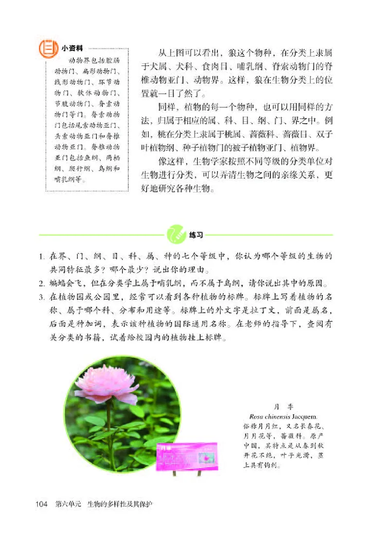 人教版8年级生物上册高清教材_4-教培资料-26年最新资料-同步更新_初中高中教资_03科三专项（进去保存报考的学科即可）_02科三专项（笔记真题思维导图教学设计版本二）