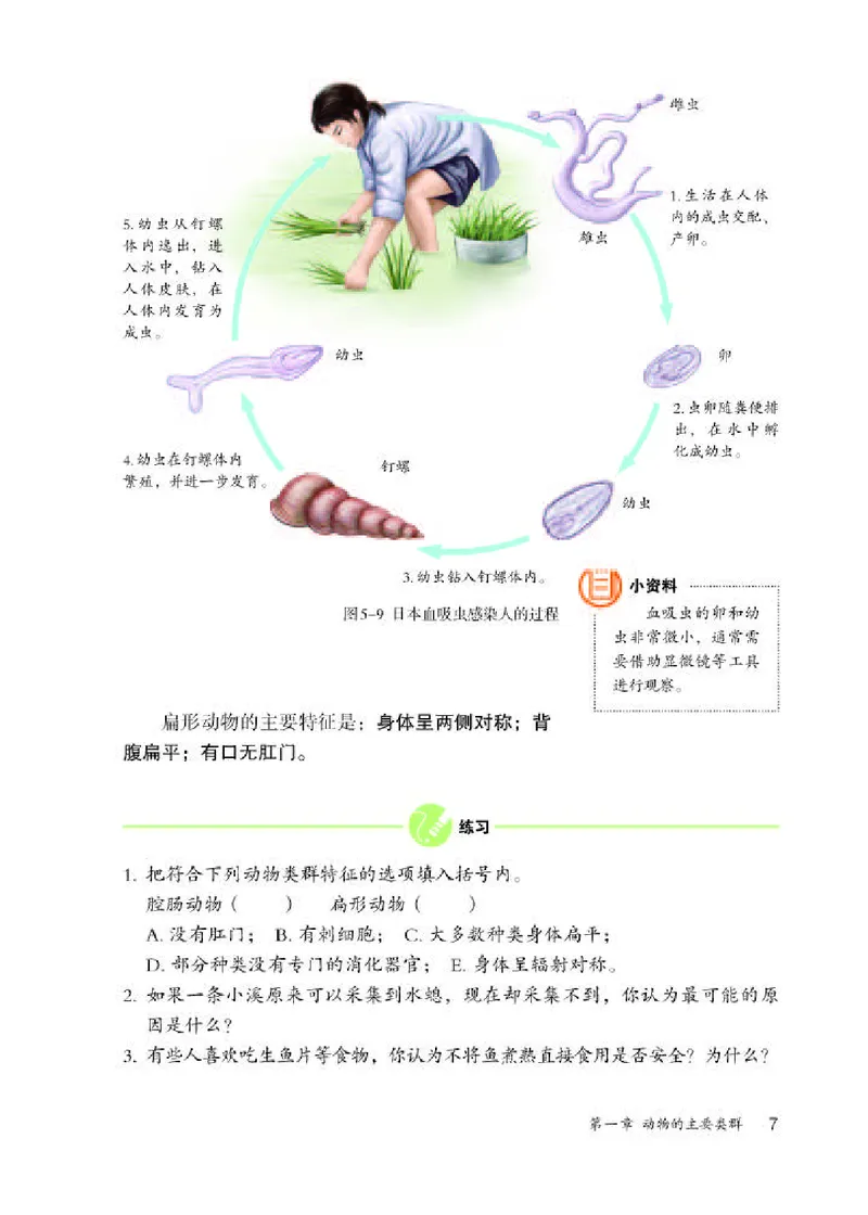 人教版8年级生物上册高清教材_4-教培资料-26年最新资料-同步更新_初中高中教资_03科三专项（进去保存报考的学科即可）_02科三专项（笔记真题思维导图教学设计版本二）