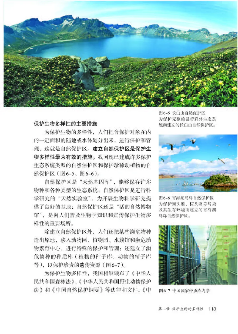 人教版8年级生物上册高清教材_4-教培资料-26年最新资料-同步更新_初中高中教资_03科三专项（进去保存报考的学科即可）_02科三专项（笔记真题思维导图教学设计版本二）