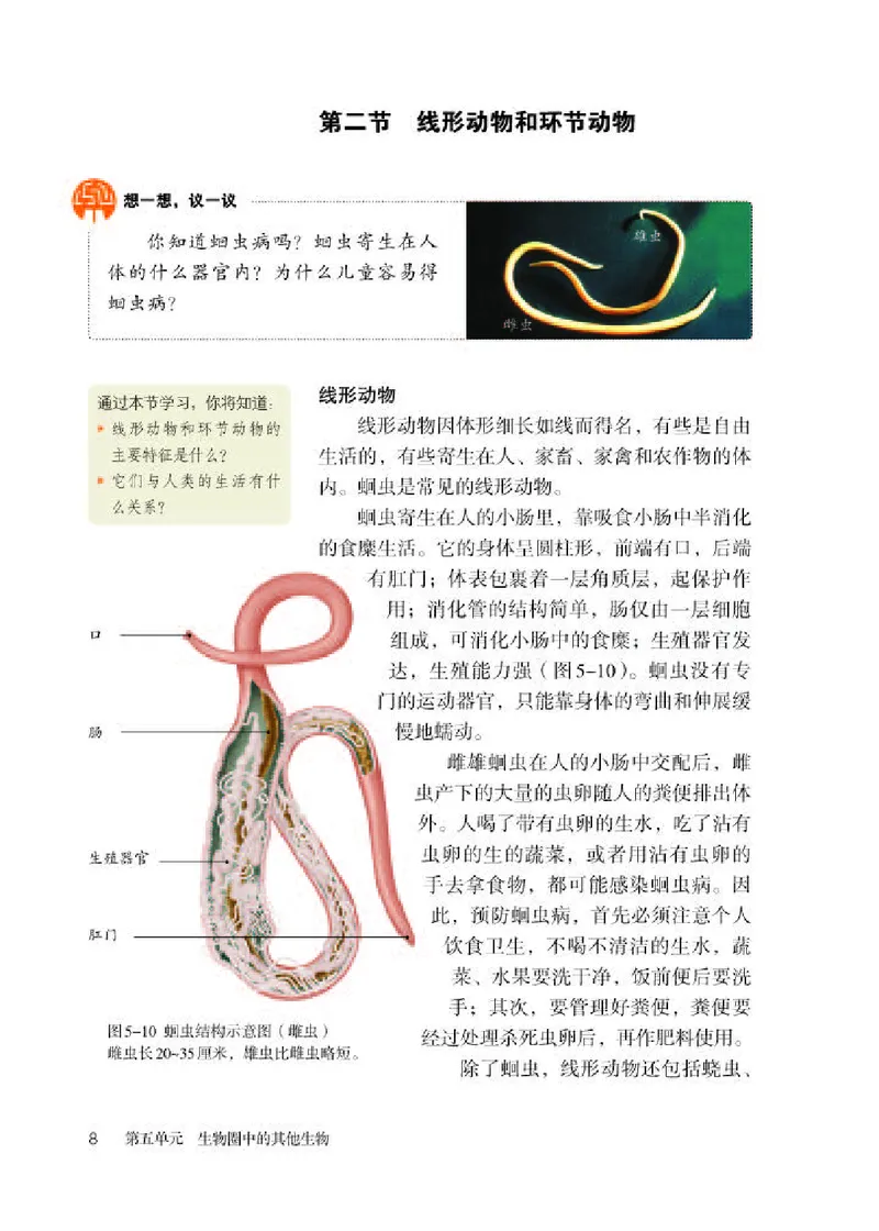 人教版8年级生物上册高清教材_4-教培资料-26年最新资料-同步更新_初中高中教资_03科三专项（进去保存报考的学科即可）_02科三专项（笔记真题思维导图教学设计版本二）