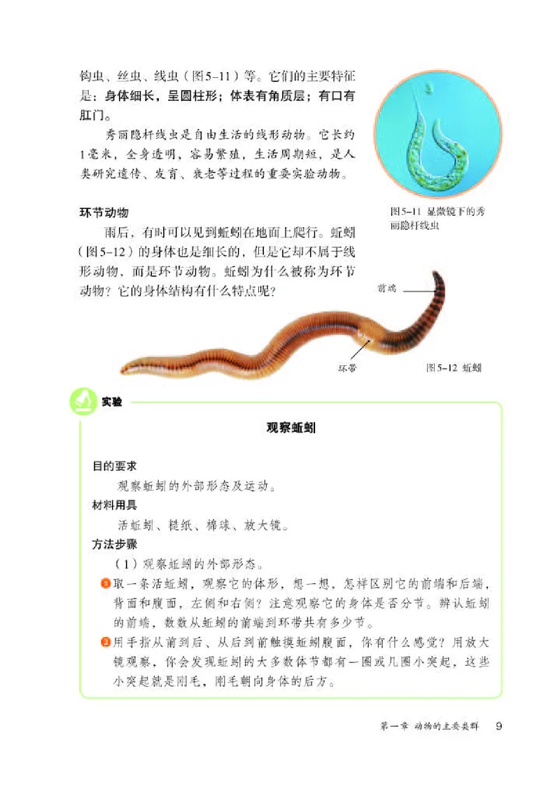 人教版8年级生物上册高清教材_4-教培资料-26年最新资料-同步更新_初中高中教资_03科三专项（进去保存报考的学科即可）_02科三专项（笔记真题思维导图教学设计版本二）