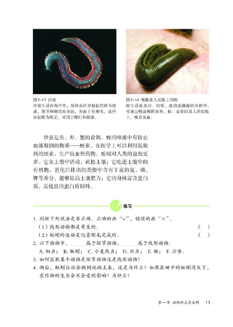人教版8年级生物上册高清教材_4-教培资料-26年最新资料-同步更新_初中高中教资_03科三专项（进去保存报考的学科即可）_02科三专项（笔记真题思维导图教学设计版本二）