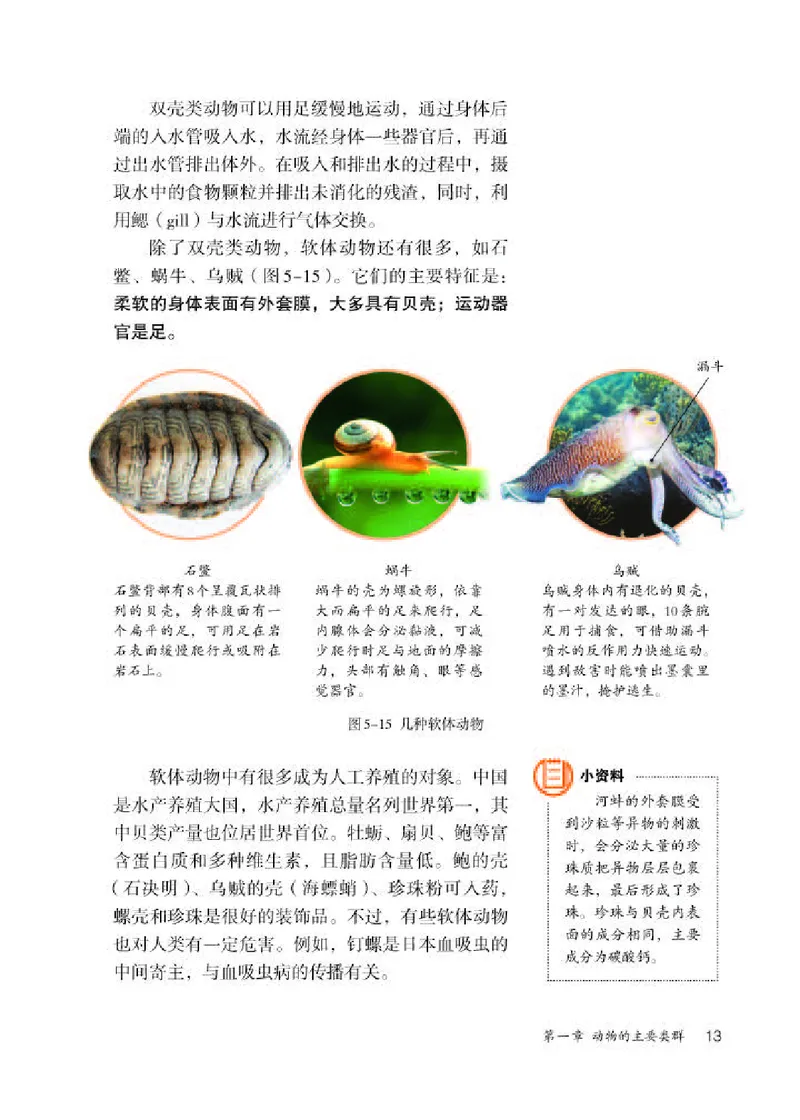 人教版8年级生物上册高清教材_4-教培资料-26年最新资料-同步更新_初中高中教资_03科三专项（进去保存报考的学科即可）_02科三专项（笔记真题思维导图教学设计版本二）