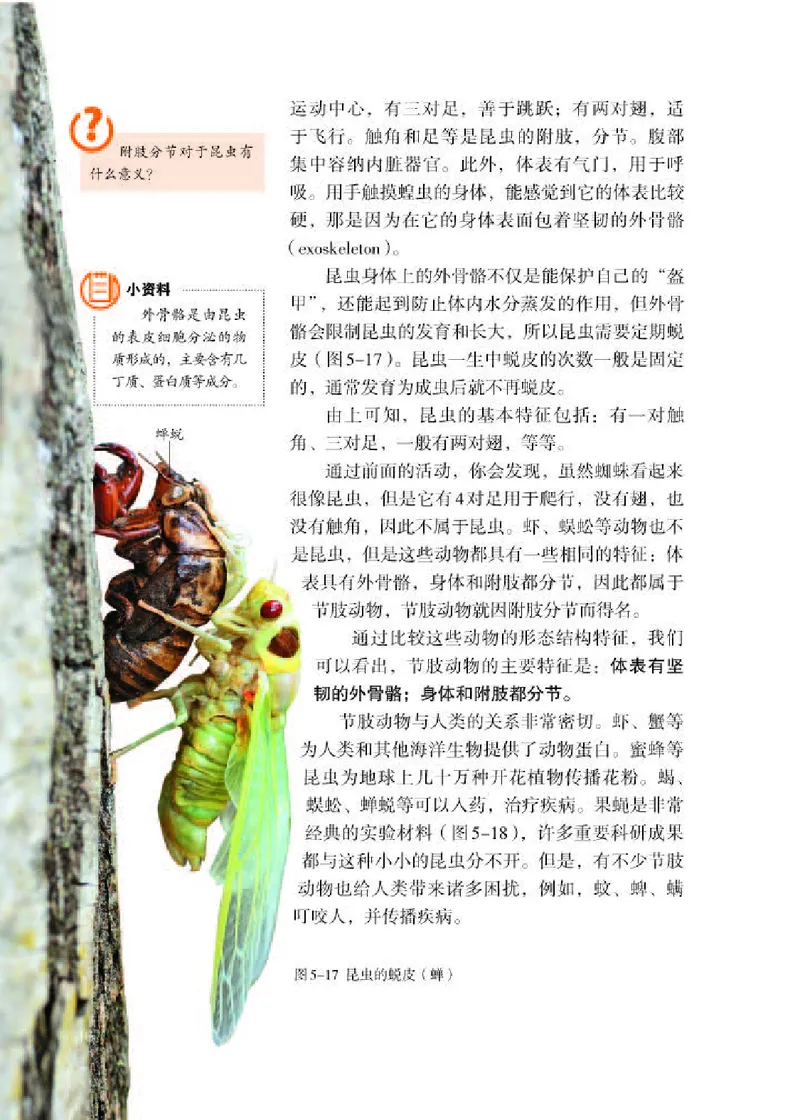 人教版8年级生物上册高清教材_4-教培资料-26年最新资料-同步更新_初中高中教资_03科三专项（进去保存报考的学科即可）_02科三专项（笔记真题思维导图教学设计版本二）