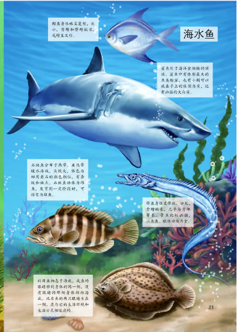 人教版8年级生物上册高清教材_4-教培资料-26年最新资料-同步更新_初中高中教资_03科三专项（进去保存报考的学科即可）_02科三专项（笔记真题思维导图教学设计版本二）