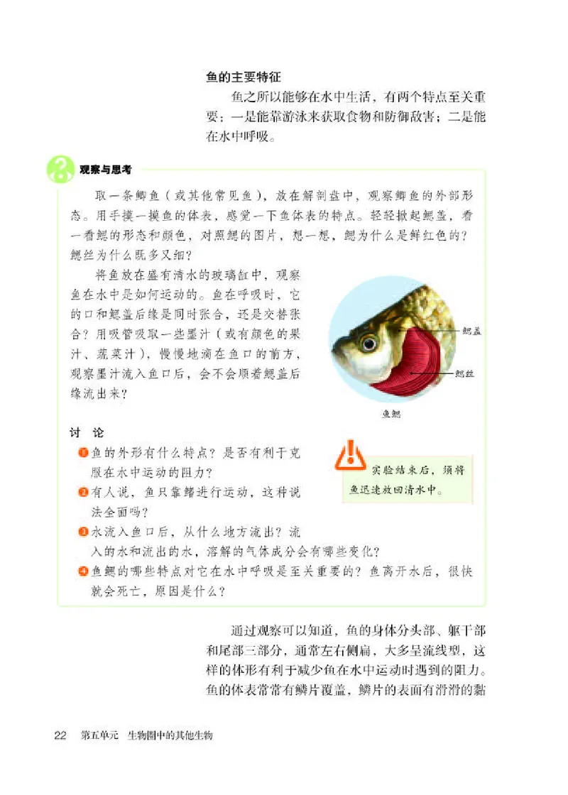 人教版8年级生物上册高清教材_4-教培资料-26年最新资料-同步更新_初中高中教资_03科三专项（进去保存报考的学科即可）_02科三专项（笔记真题思维导图教学设计版本二）