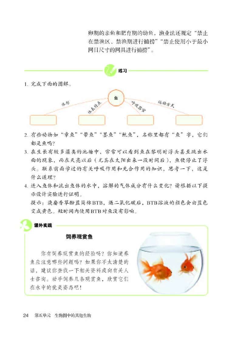 人教版8年级生物上册高清教材_4-教培资料-26年最新资料-同步更新_初中高中教资_03科三专项（进去保存报考的学科即可）_02科三专项（笔记真题思维导图教学设计版本二）