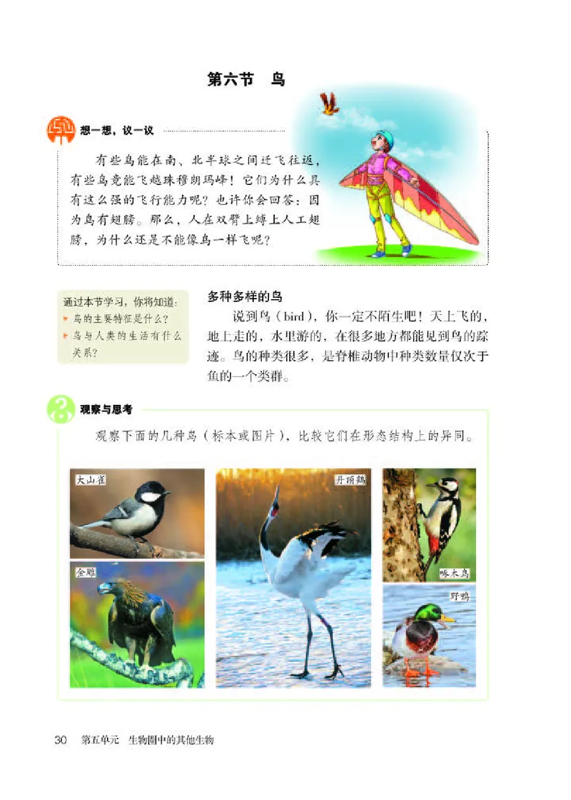 人教版8年级生物上册高清教材_4-教培资料-26年最新资料-同步更新_初中高中教资_03科三专项（进去保存报考的学科即可）_02科三专项（笔记真题思维导图教学设计版本二）