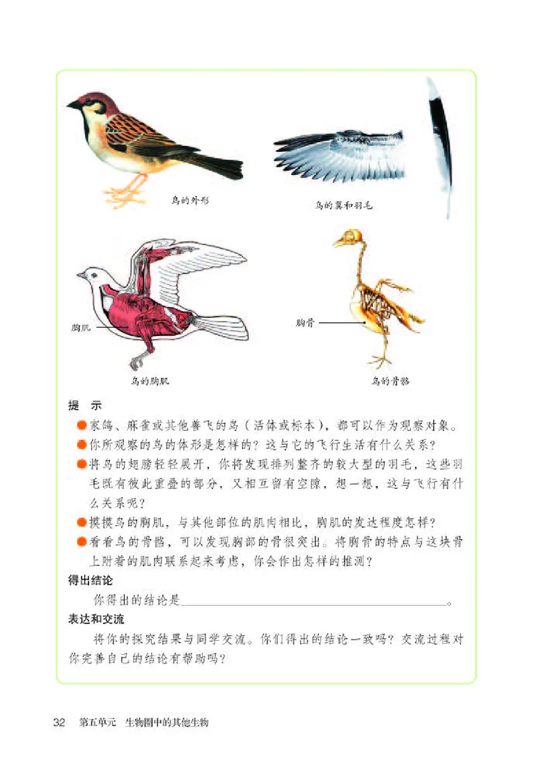 人教版8年级生物上册高清教材_4-教培资料-26年最新资料-同步更新_初中高中教资_03科三专项（进去保存报考的学科即可）_02科三专项（笔记真题思维导图教学设计版本二）