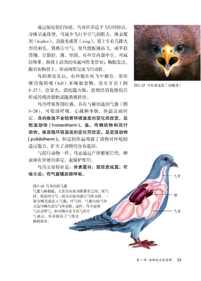 人教版8年级生物上册高清教材_4-教培资料-26年最新资料-同步更新_初中高中教资_03科三专项（进去保存报考的学科即可）_02科三专项（笔记真题思维导图教学设计版本二）