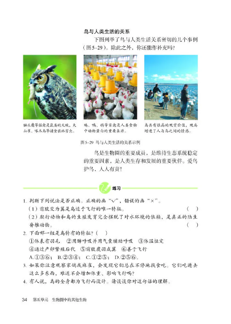 人教版8年级生物上册高清教材_4-教培资料-26年最新资料-同步更新_初中高中教资_03科三专项（进去保存报考的学科即可）_02科三专项（笔记真题思维导图教学设计版本二）