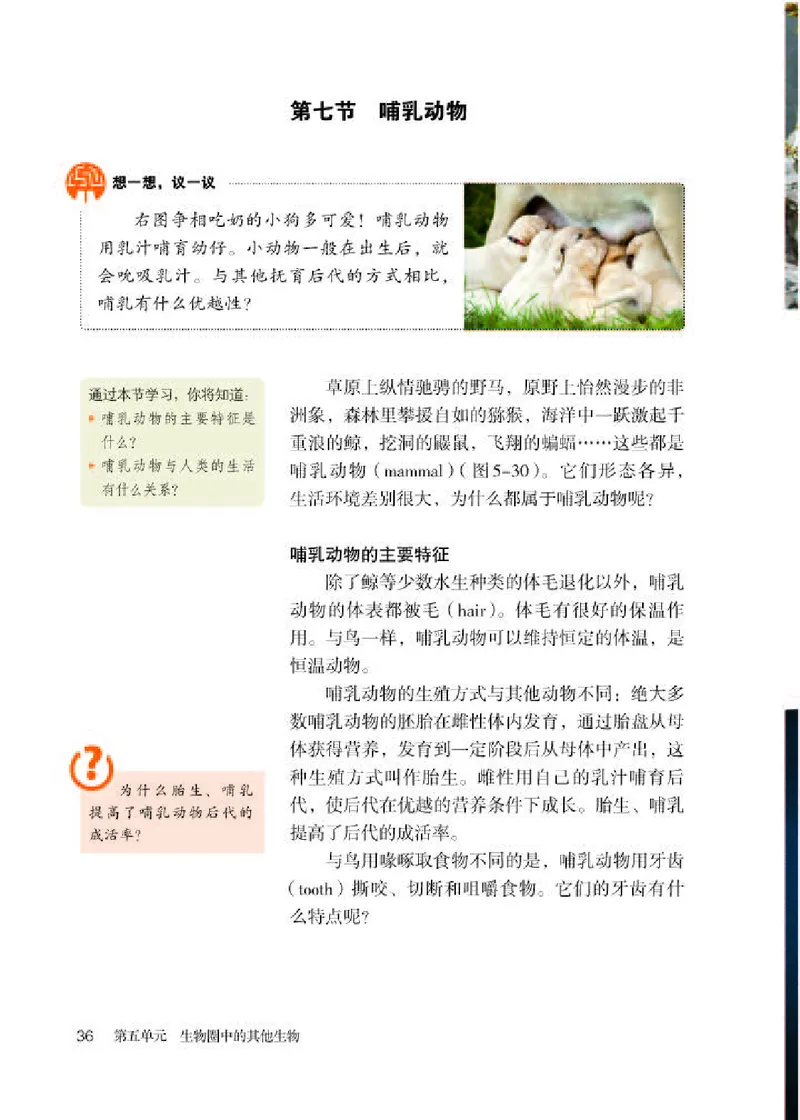 人教版8年级生物上册高清教材_4-教培资料-26年最新资料-同步更新_初中高中教资_03科三专项（进去保存报考的学科即可）_02科三专项（笔记真题思维导图教学设计版本二）