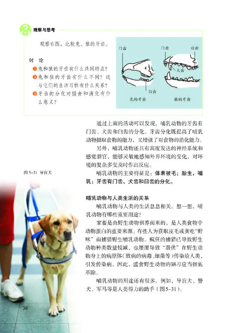 人教版8年级生物上册高清教材_4-教培资料-26年最新资料-同步更新_初中高中教资_03科三专项（进去保存报考的学科即可）_02科三专项（笔记真题思维导图教学设计版本二）