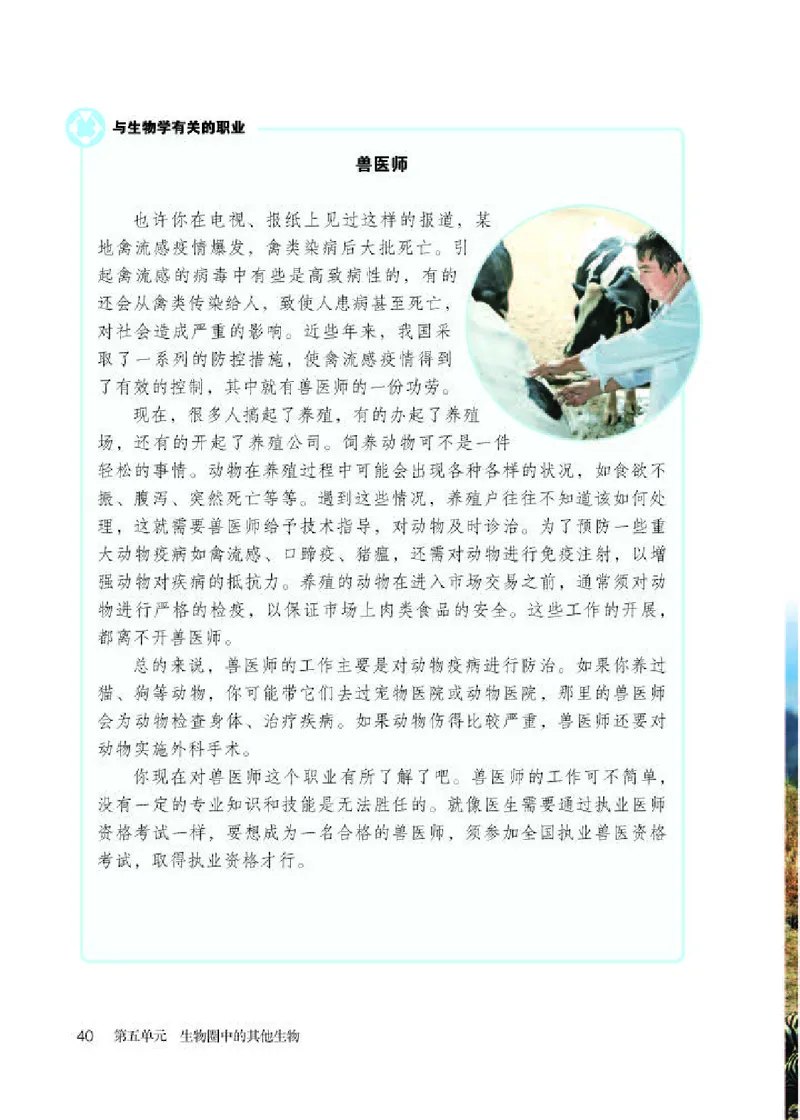 人教版8年级生物上册高清教材_4-教培资料-26年最新资料-同步更新_初中高中教资_03科三专项（进去保存报考的学科即可）_02科三专项（笔记真题思维导图教学设计版本二）
