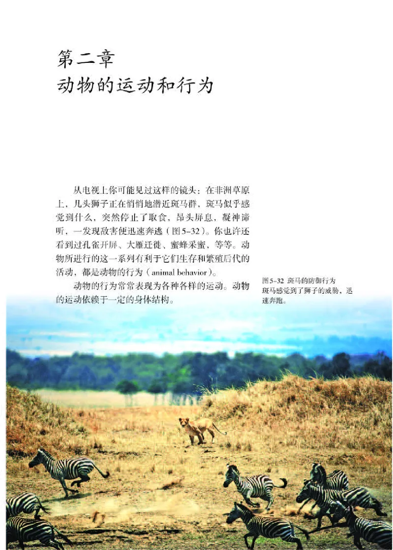 人教版8年级生物上册高清教材_4-教培资料-26年最新资料-同步更新_初中高中教资_03科三专项（进去保存报考的学科即可）_02科三专项（笔记真题思维导图教学设计版本二）