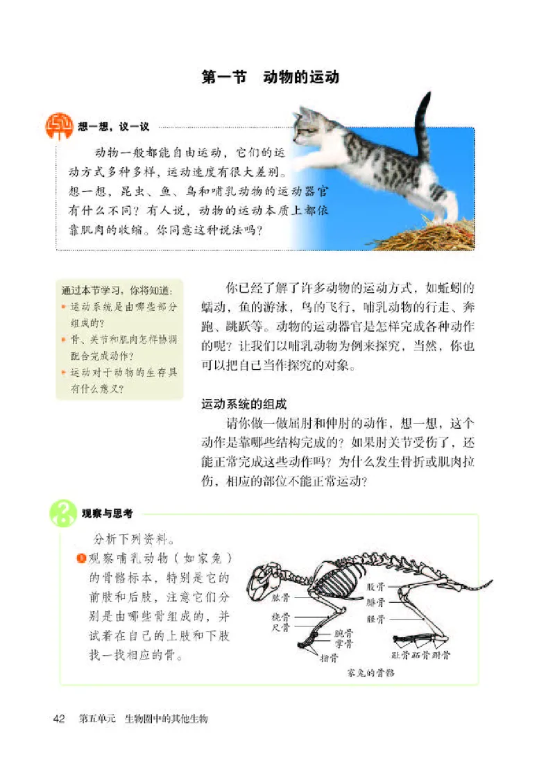 人教版8年级生物上册高清教材_4-教培资料-26年最新资料-同步更新_初中高中教资_03科三专项（进去保存报考的学科即可）_02科三专项（笔记真题思维导图教学设计版本二）