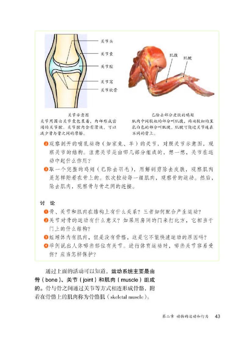 人教版8年级生物上册高清教材_4-教培资料-26年最新资料-同步更新_初中高中教资_03科三专项（进去保存报考的学科即可）_02科三专项（笔记真题思维导图教学设计版本二）