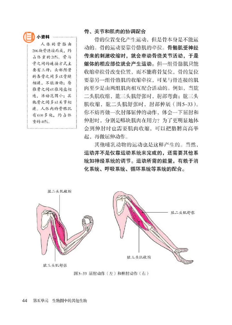 人教版8年级生物上册高清教材_4-教培资料-26年最新资料-同步更新_初中高中教资_03科三专项（进去保存报考的学科即可）_02科三专项（笔记真题思维导图教学设计版本二）