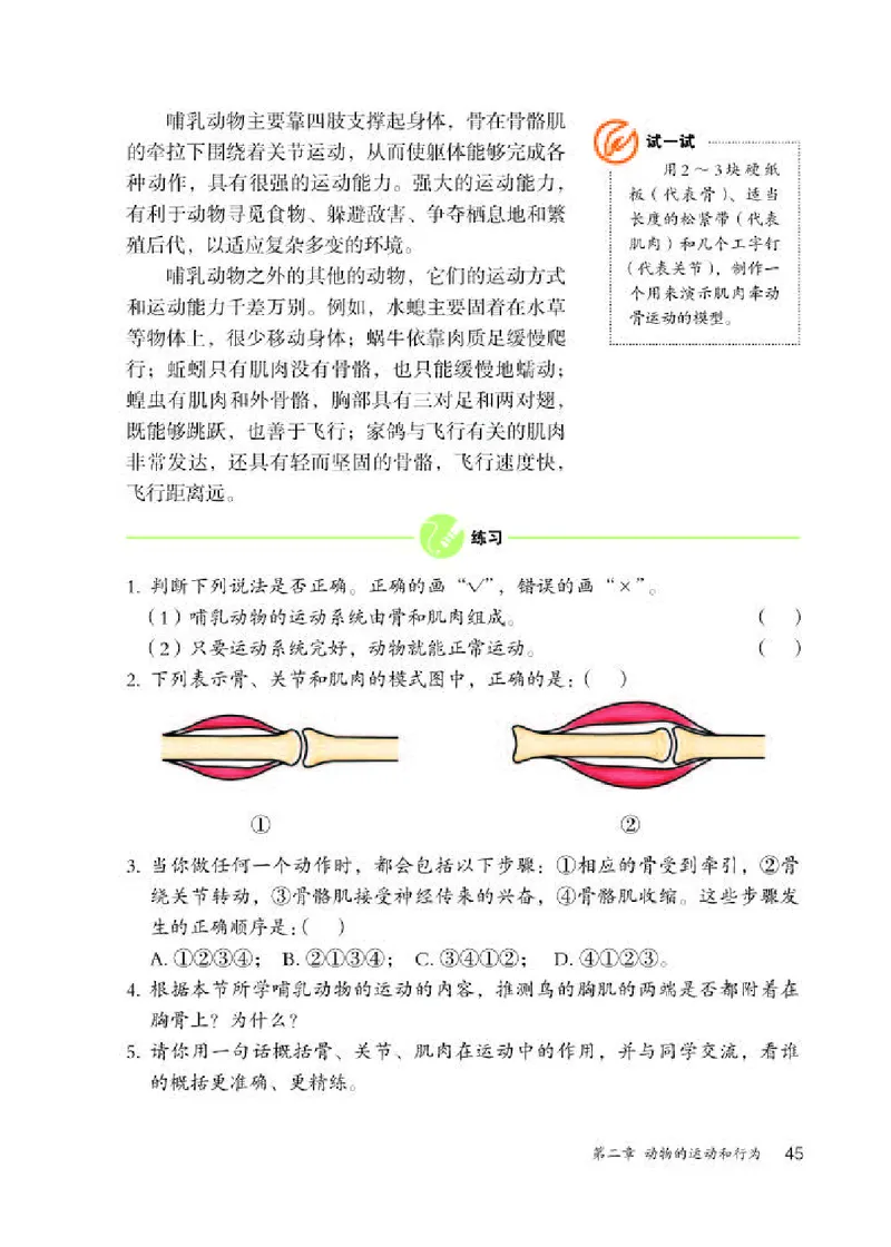 人教版8年级生物上册高清教材_4-教培资料-26年最新资料-同步更新_初中高中教资_03科三专项（进去保存报考的学科即可）_02科三专项（笔记真题思维导图教学设计版本二）