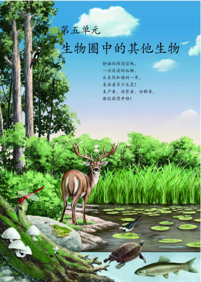 人教版8年级生物上册高清教材_4-教培资料-26年最新资料-同步更新_初中高中教资_03科三专项（进去保存报考的学科即可）_02科三专项（笔记真题思维导图教学设计版本二）