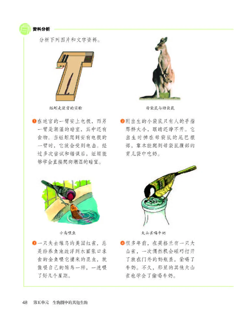 人教版8年级生物上册高清教材_4-教培资料-26年最新资料-同步更新_初中高中教资_03科三专项（进去保存报考的学科即可）_02科三专项（笔记真题思维导图教学设计版本二）