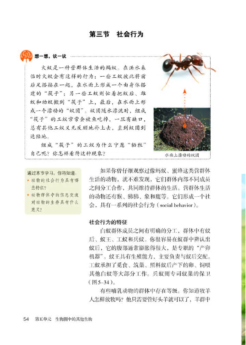 人教版8年级生物上册高清教材_4-教培资料-26年最新资料-同步更新_初中高中教资_03科三专项（进去保存报考的学科即可）_02科三专项（笔记真题思维导图教学设计版本二）