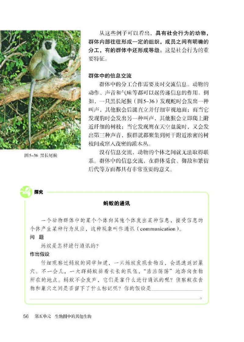 人教版8年级生物上册高清教材_4-教培资料-26年最新资料-同步更新_初中高中教资_03科三专项（进去保存报考的学科即可）_02科三专项（笔记真题思维导图教学设计版本二）