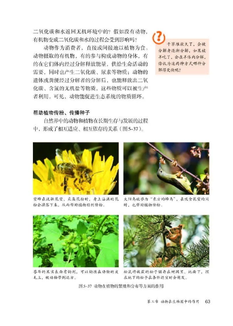 人教版8年级生物上册高清教材_4-教培资料-26年最新资料-同步更新_初中高中教资_03科三专项（进去保存报考的学科即可）_02科三专项（笔记真题思维导图教学设计版本二）