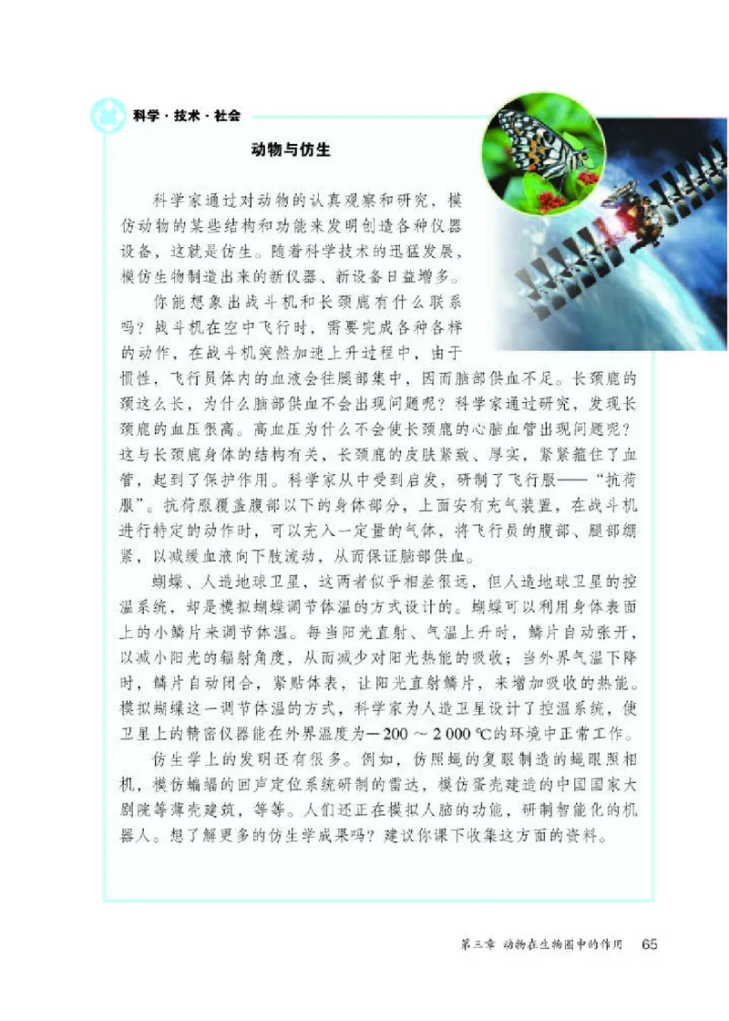 人教版8年级生物上册高清教材_4-教培资料-26年最新资料-同步更新_初中高中教资_03科三专项（进去保存报考的学科即可）_02科三专项（笔记真题思维导图教学设计版本二）