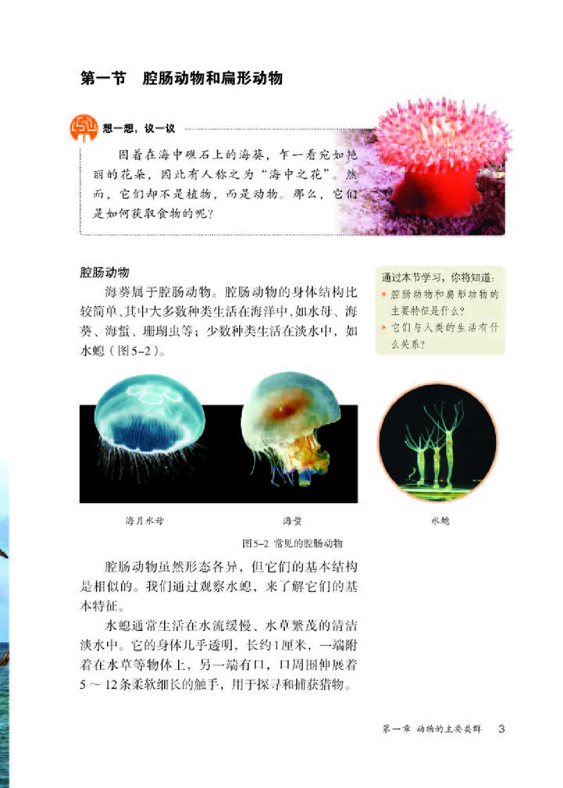 人教版8年级生物上册高清教材_4-教培资料-26年最新资料-同步更新_初中高中教资_03科三专项（进去保存报考的学科即可）_02科三专项（笔记真题思维导图教学设计版本二）