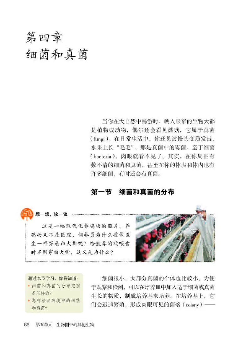 人教版8年级生物上册高清教材_4-教培资料-26年最新资料-同步更新_初中高中教资_03科三专项（进去保存报考的学科即可）_02科三专项（笔记真题思维导图教学设计版本二）
