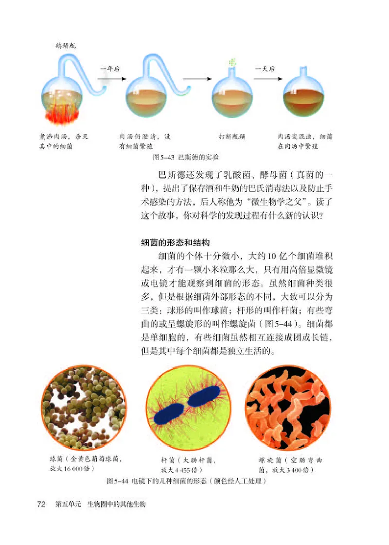 人教版8年级生物上册高清教材_4-教培资料-26年最新资料-同步更新_初中高中教资_03科三专项（进去保存报考的学科即可）_02科三专项（笔记真题思维导图教学设计版本二）