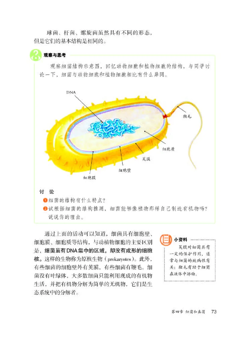 人教版8年级生物上册高清教材_4-教培资料-26年最新资料-同步更新_初中高中教资_03科三专项（进去保存报考的学科即可）_02科三专项（笔记真题思维导图教学设计版本二）