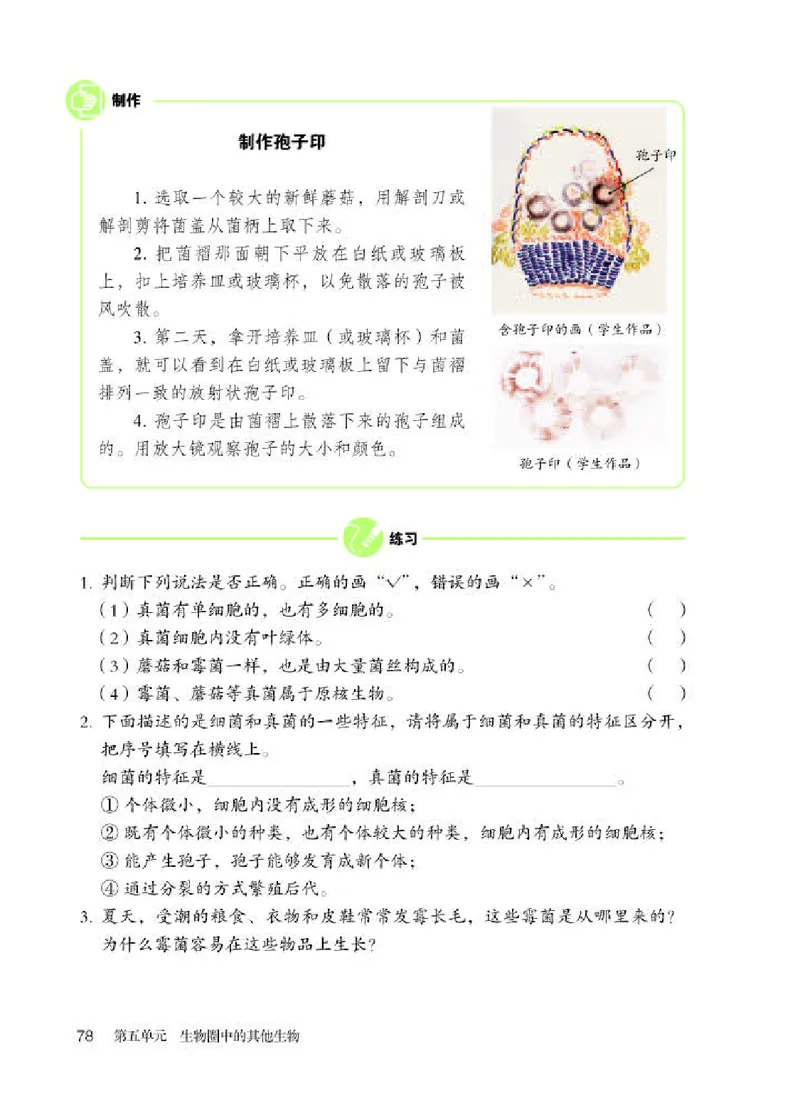 人教版8年级生物上册高清教材_4-教培资料-26年最新资料-同步更新_初中高中教资_03科三专项（进去保存报考的学科即可）_02科三专项（笔记真题思维导图教学设计版本二）