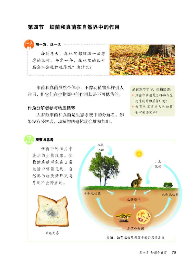 人教版8年级生物上册高清教材_4-教培资料-26年最新资料-同步更新_初中高中教资_03科三专项（进去保存报考的学科即可）_02科三专项（笔记真题思维导图教学设计版本二）