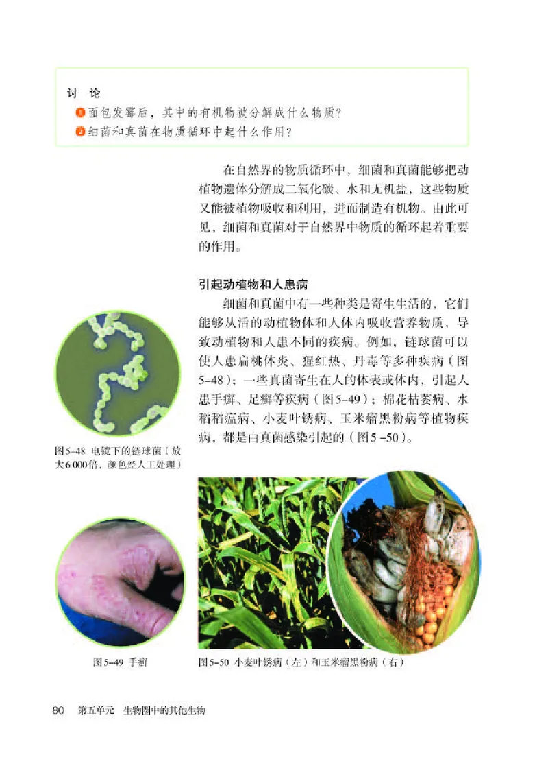 人教版8年级生物上册高清教材_4-教培资料-26年最新资料-同步更新_初中高中教资_03科三专项（进去保存报考的学科即可）_02科三专项（笔记真题思维导图教学设计版本二）