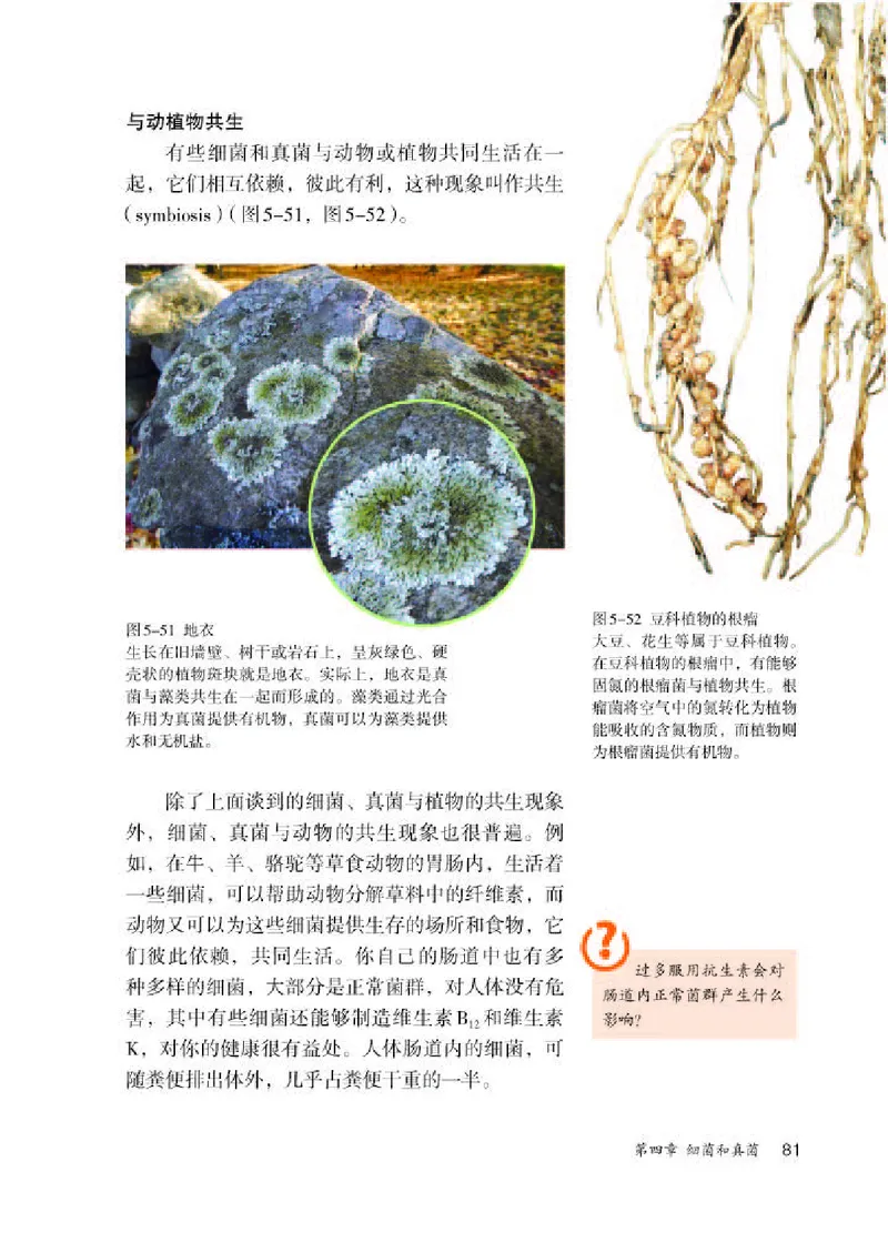 人教版8年级生物上册高清教材_4-教培资料-26年最新资料-同步更新_初中高中教资_03科三专项（进去保存报考的学科即可）_02科三专项（笔记真题思维导图教学设计版本二）