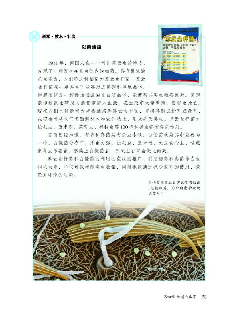 人教版8年级生物上册高清教材_4-教培资料-26年最新资料-同步更新_初中高中教资_03科三专项（进去保存报考的学科即可）_02科三专项（笔记真题思维导图教学设计版本二）