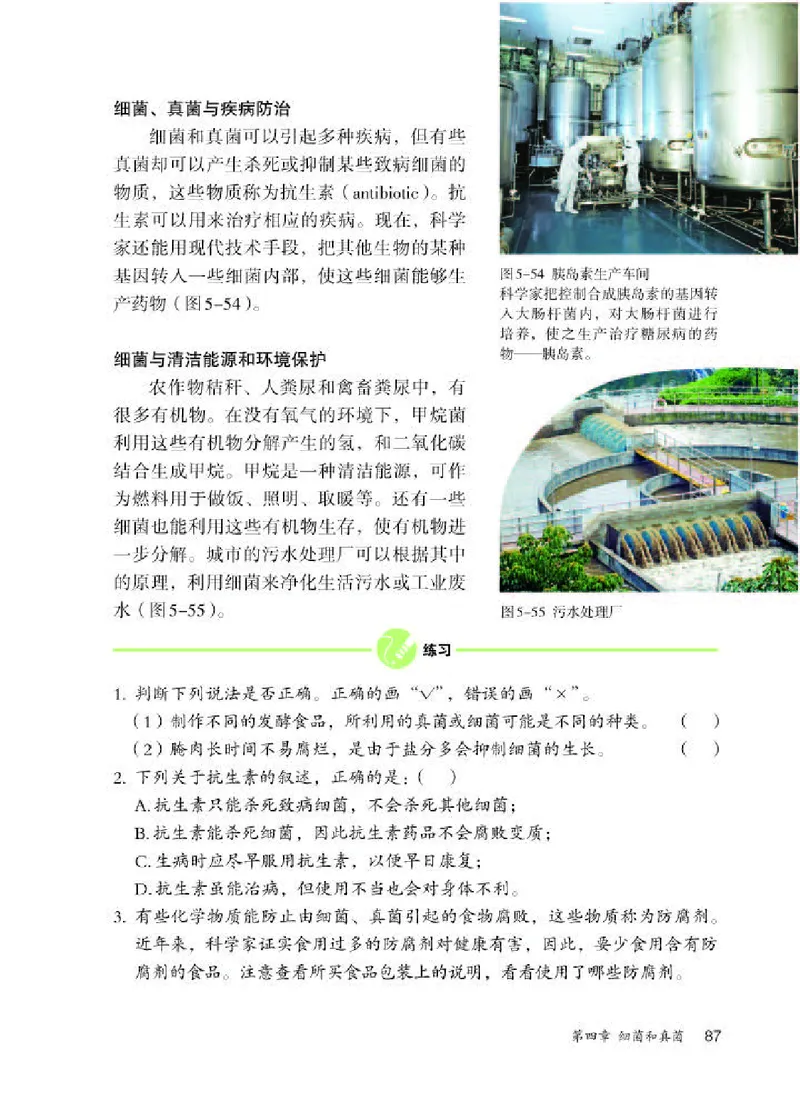 人教版8年级生物上册高清教材_4-教培资料-26年最新资料-同步更新_初中高中教资_03科三专项（进去保存报考的学科即可）_02科三专项（笔记真题思维导图教学设计版本二）