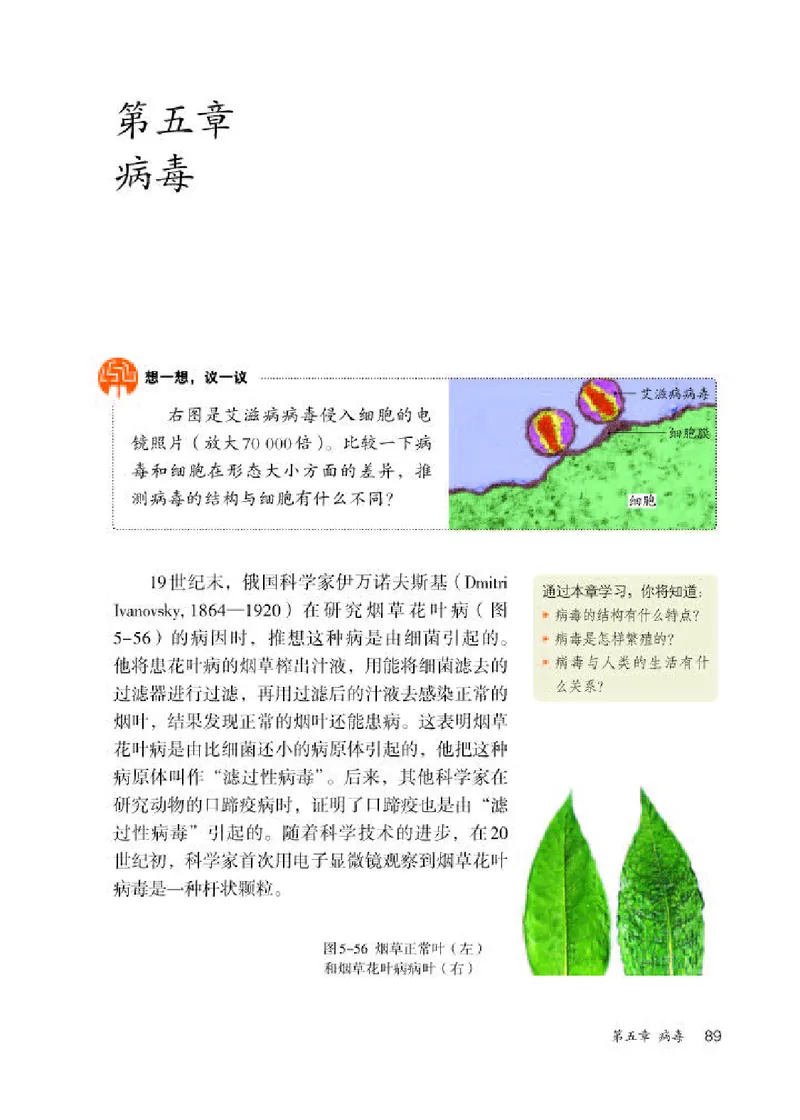 人教版8年级生物上册高清教材_4-教培资料-26年最新资料-同步更新_初中高中教资_03科三专项（进去保存报考的学科即可）_02科三专项（笔记真题思维导图教学设计版本二）